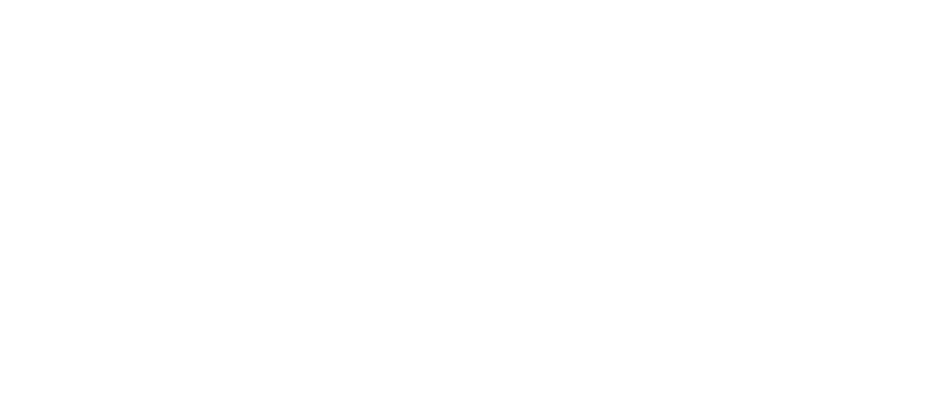 Customer Logo Baden-Württemberg-Stiftung